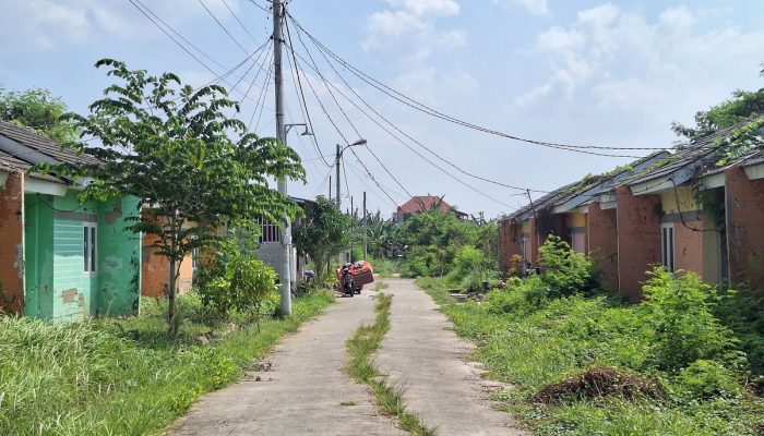 Rumah Subsidi Presiden Jokowi Prihatin, TAPERA Wacanakan Pemerintah Gagal Bangun Rumah