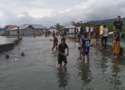 Hari ini, Tanggul Telaga Kabau Jebol, Bupati Fifian Pelisiran Lagi ke Lokasi PSU Pulau Taliabu