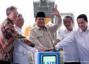 JATAM : Pabrik Baterai Halmahera, Pertegas Negara Berwatak Bebal