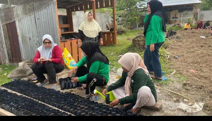 Wujudkan Pronas Ketapang Mas, PKK Sula Ajak Warga Manfaatkan Pekarangan