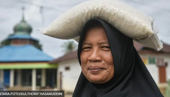 Presiden Sepakat Impor Beras 1000 Ton dari AS : Apa Kabar Program Lumbung Pangan? Anomali