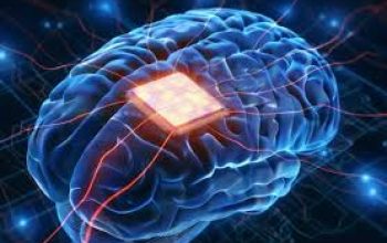 Makin Gila… China Tanam Chip Otak, Amerika dan Elon Musk Kalah Saing?