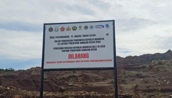 “Konflik Undang-Undang”, Cara Mutakhir Loloskan Penjahat di Tambang Maluku Utara