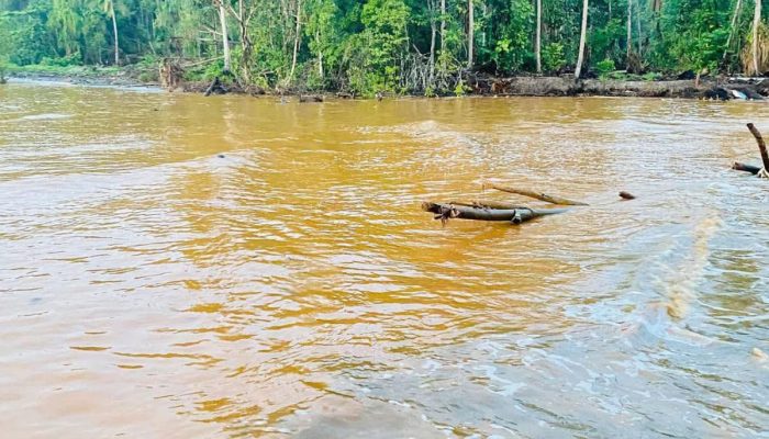 LATAMLA : Luka di Bibir Halmahera | Saat Kali Kukuba Berubah Warna Menjadi Cokelat Pekat