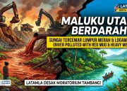 LATAMLA : Moratorium Usaha Tambang Maluku Utara, Hindari Ancaman “Kebijakan Anti-Deforestasi” Jilid II
