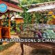 “Pesta Kue” di Cimanggis | Aroma Kampung Halaman dan Gotong Royong Mama-Mama Jelang Deklarasi KKSK