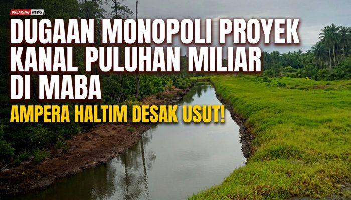 Monopoli Proyek Kanalisasi Puluhan Miliar di Maba? Kontraktor Lokal Menjerit, Aparat Hukum Didesak Turun Tangan