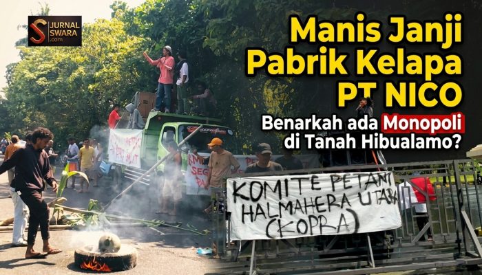 Manis Janji Pabrik Kelapa PT NICO | Benarkah ada Monopoli di Tanah Hibualamo?