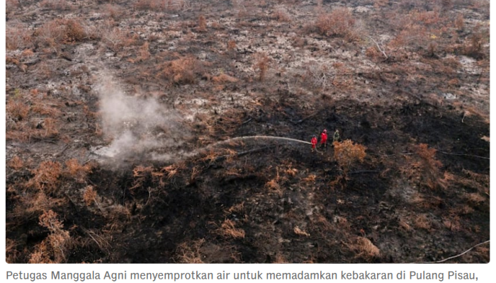 Negara Dikepung Asap: Kemenhut Usut 42 Kasus Karhutla, Enam Perusahaan Kena Sanksi