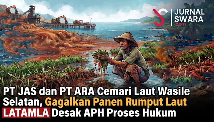 PT JAS dan PT ARA Cemari Laut Wasile Selatan, Gagalkan Panen Rumput Laut | LATAMLA Desak APH Proses Hukum