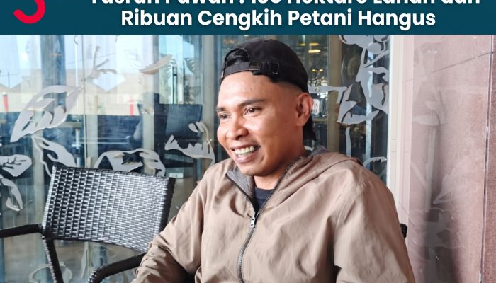 Pemprov Gerak Cepat Kirim Bantuan Karhutla Taliabu | Yusran Pawah : 135 Hektare Lahan dan Ribuan Cengkih Petani Hangus