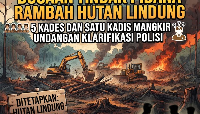 Rambah Hutan Lindung | 5 Kades dan 1 Kepala Dinas Mangkir Undangan Klarifikasi di Polisi, Kadis Pertanian Dijadwal Jumat Besok