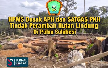 HPMS Desak Usut Perambahan Hutan Lindung Oleh Bupati Sula dan Sejumlah Pejabat | Bustamin Sanaba : APH dan Dishut Tidak Boleh Diam
