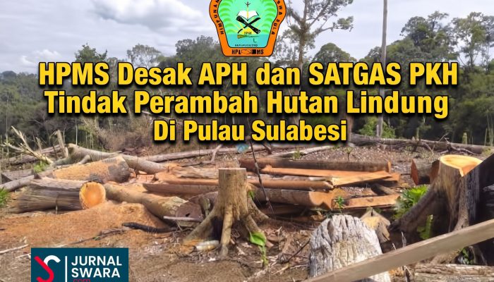 HPMS Desak Usut Perambahan Hutan Lindung Oleh Bupati Sula dan Sejumlah Pejabat | Bustamin Sanaba : APH dan Dishut Tidak Boleh Diam