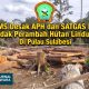 HPMS Desak Usut Perambahan Hutan Lindung Oleh Bupati Sula dan Sejumlah Pejabat | Bustamin Sanaba : APH dan Dishut Tidak Boleh Diam