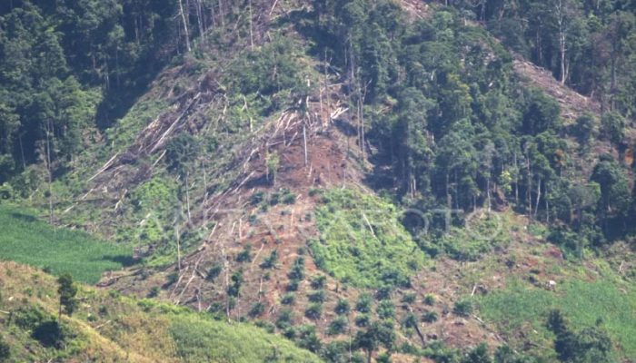 HPMS Cabang Jakarta Warning Dinas Kehutanan Malut | Merusak 5,2 Hektar Hutan Lindung Bukan Perkara Kecil